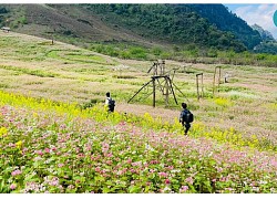 Phát triển du lịch ở Vân Hồ