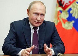 Điện Kremlin xác nhận Tổng thống Putin tới Tehran dự Hội nghị thượng đỉnh Nga-Iran-Thổ Nhĩ Kỳ