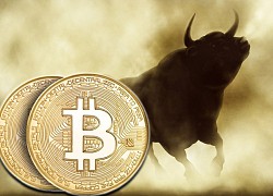 Giá Bitcoin hôm nay 12/7: Bitcoin lao dốc, chuyên gia dự báo 'sốc'