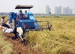 Hà Nội: Tỷ lệ cơ giới hóa trong khâu gieo cấy còn thấp