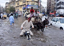 Hàng chục người thiệt mạng vì lũ lụt tại Pakistan