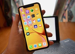 iPhone XR 4 năm tuổi sắp "tuyệt chủng" tại Việt Nam