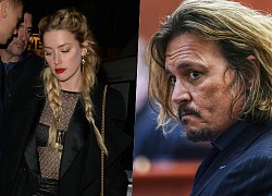 Johnny Depp sỉ thẳng mặt Amber Heard: "Em đang ngồi đó như một con vật bị ngứa suốt 7 năm"