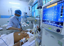 Mỗi ngày TP.HCM có trên 400 ca sốt xuất huyết nhập viện