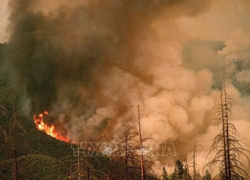 Mỹ: Cháy lớn thiêu rụi hàng trăm ha rừng, đe doạ Công viên Quốc gia Yosemite