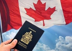 Nên chọn chương trình định cư Canada nào? Cùng ALLY nắm trọn cơ hội định cư hấp dẫn