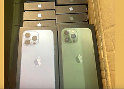 Nghe gọi không ổn định, iPhone Lock tụt giá thê thảm: iPhone 13 Pro Max chỉ còn 20 triệu đồng