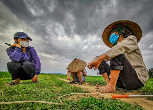 'Nỏ ai biết vì sao cánh đồng làng tôi lại bị trời đánh nhiều thế mô'