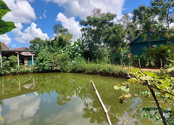 Quảng Bình: Ra ao cá chơi, 2 trẻ em trượt chân xuống nước tử vong