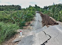 Sụt lún đường đê ở Long An: Khắc phục trước, quy trách nhiệm sau