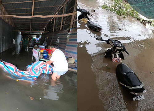 Cà Mau: Hơn 250 căn nhà bị ngập do mưa lớn kéo dài và triều cường dâng