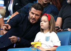 Cuộc sống của con gái David Beckham