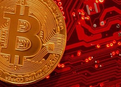 Giá Bitcoin hôm nay 14/7: Bitcoin tăng mạnh vẫn nguy cơ 'sụp hố'