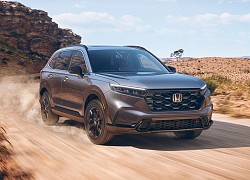 Honda CR-V 2023 thay đổi toàn diện, chững chạc và 'gia đình' hơn