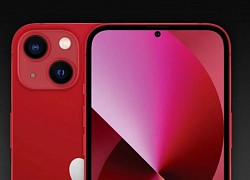 iPhone 15 sẽ là smartphone đầu tiên của Apple ẩn Face ID?