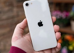 iPhone SE 2022 so kè iPhone SE cũ: Apple có lý do để iFan móc hầu bao