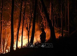 Nắng nóng hoành hành châu Âu, nhiệt độ ở Bồ Đào Nha có thể lên tới 45 độ C