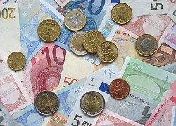 Nhóm này hưởng lợi lớn khi đồng euro ngang giá với USD