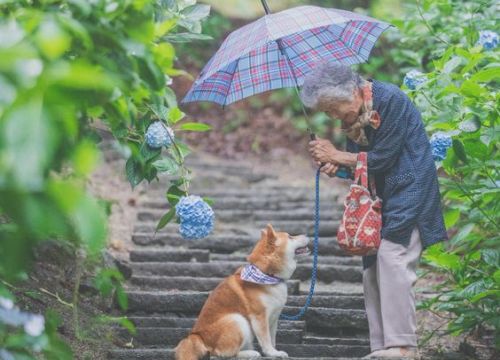 Ông bà nội giàu sang nhưng ghét cay ghét đắng đứa cháu gái chỉ vì không ưa con dâu cũ