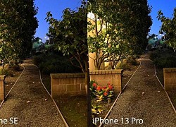 So sánh ảnh chụp bằng iPhone 13 Pro và iPhone SE 3