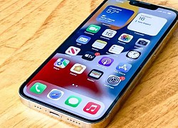 iPhone 14 Max - đối thủ "đáng gờm" của Galaxy S22 Plus và Pixel 6 Pro