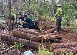 Vụ đánh người tố giác 'lâm tặc': Khám nghiệm hiện trường phát hiện cả chục 'mộ cây'