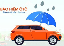 Những loại bảo hiểm ôtô nào cần phải có khi mua xe?