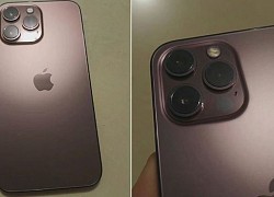 iPhone 13 Pro lộ thêm màu vàng hồng đậm mới?