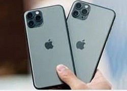 iPhone lỗi bán giá 60 triệu đồng, cao gấp 3 lần hàng chuẩn chỉnh