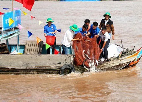 Kể thêm về sông Vàm Nao xưa