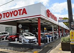 Nhiều hoạt động kinh doanh của Toyota Việt Nam tăng trưởng mạnh