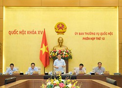 Ủy ban Thường vụ Quốc hội tổ chức phiên chất vấn trong tháng 8-2022