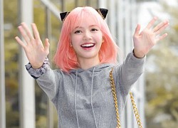 Bất ngờ khi thấy Lisa (Blackpink) hóa trang thành cô bé Anya Forger trong Spy x Family
