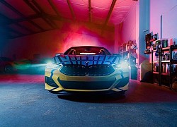 BMW 8 X JEFF KOONS đầu tiên đắt ngang siêu xe Ferrari F8 Spider