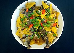 Cá kình là cá gì? 2 món ăn ngon, đặc sản làm từ cá kình của người dân xứ biển