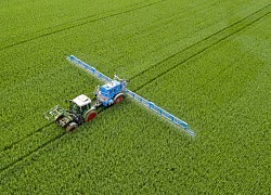 EU sẽ giảm nhẹ các lệnh trừng phạt Nga