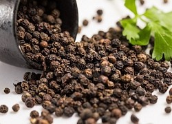 Giá tiêu hôm nay 20/7: Tiếp tục đi ngang