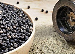 Giá tiêu hôm nay 21/7: Tăng nhẹ tại thị trường trong nước