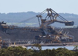 Giới chuyên gia cảnh báo môi trường tại Australia đang ngày càng xấu đi