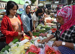 Indonesia: Chuẩn bị chiến lược ứng phó khủng hoảng lương thực, năng lượng