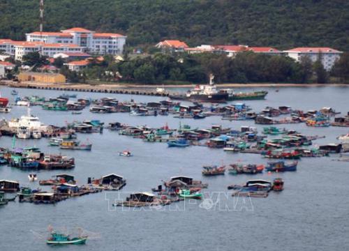 Kiên Giang đầu tư dự án phát triển thủy sản bền vững