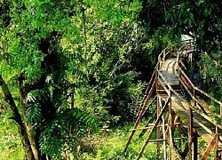 Kinh nghiệm du lịch bụi rừng Nam Cát Tiên