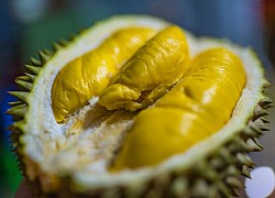 Thái Lan giới thiệu giống sầu riêng &#8216;không mùi&#8217;