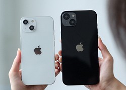 Lộ diện bản mô hình của iPhone 14 tại Việt Nam