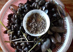 Loài ốc là đặc sản miền Tây nhưng không phải ai cũng có cơ hội thưởng thức