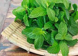 Lợi ích làm đẹp da của lá bạc hà