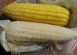 Luộc ngô thêm thứ này ngon vô địch, vừa giữ chất lại mềm ngọt