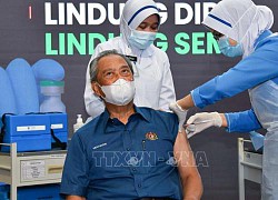 Malaysia hạ độ tuổi đủ điều kiện tiêm mũi thứ 4 vaccine ngừa COVID-19