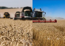 Nga và Thổ Nhĩ Kỳ đạt khuôn khổ thỏa thuận về vận chuyển ngũ cốc của Ukraine