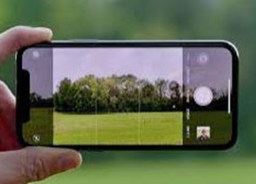 Cách dùng camera trên iPhone để nhận biết loại cây